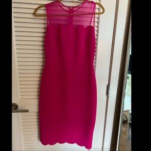 Ted Baker Scallop Mesh Overlay Dress